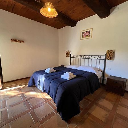 كاستل ديل بيانو B&B Podere Legnotorto المظهر الخارجي الصورة