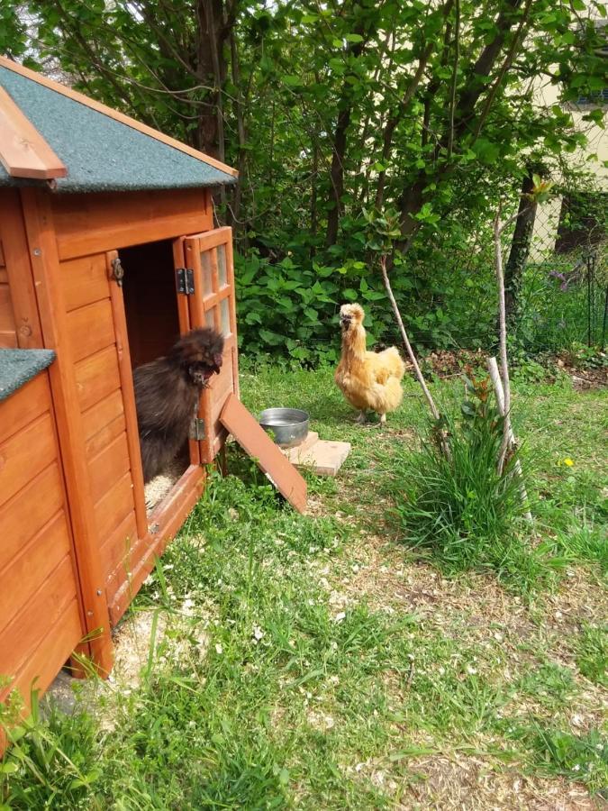 كاستل ديل بيانو B&B Podere Legnotorto المظهر الخارجي الصورة